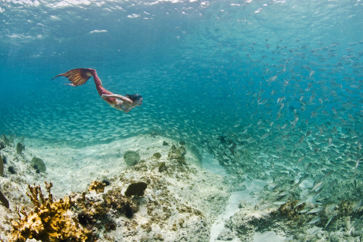 Grand Cayman Underwater Photography