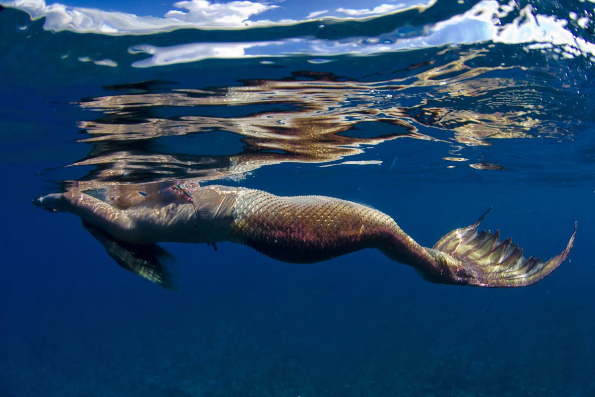 Grand Cayman Underwater Photography