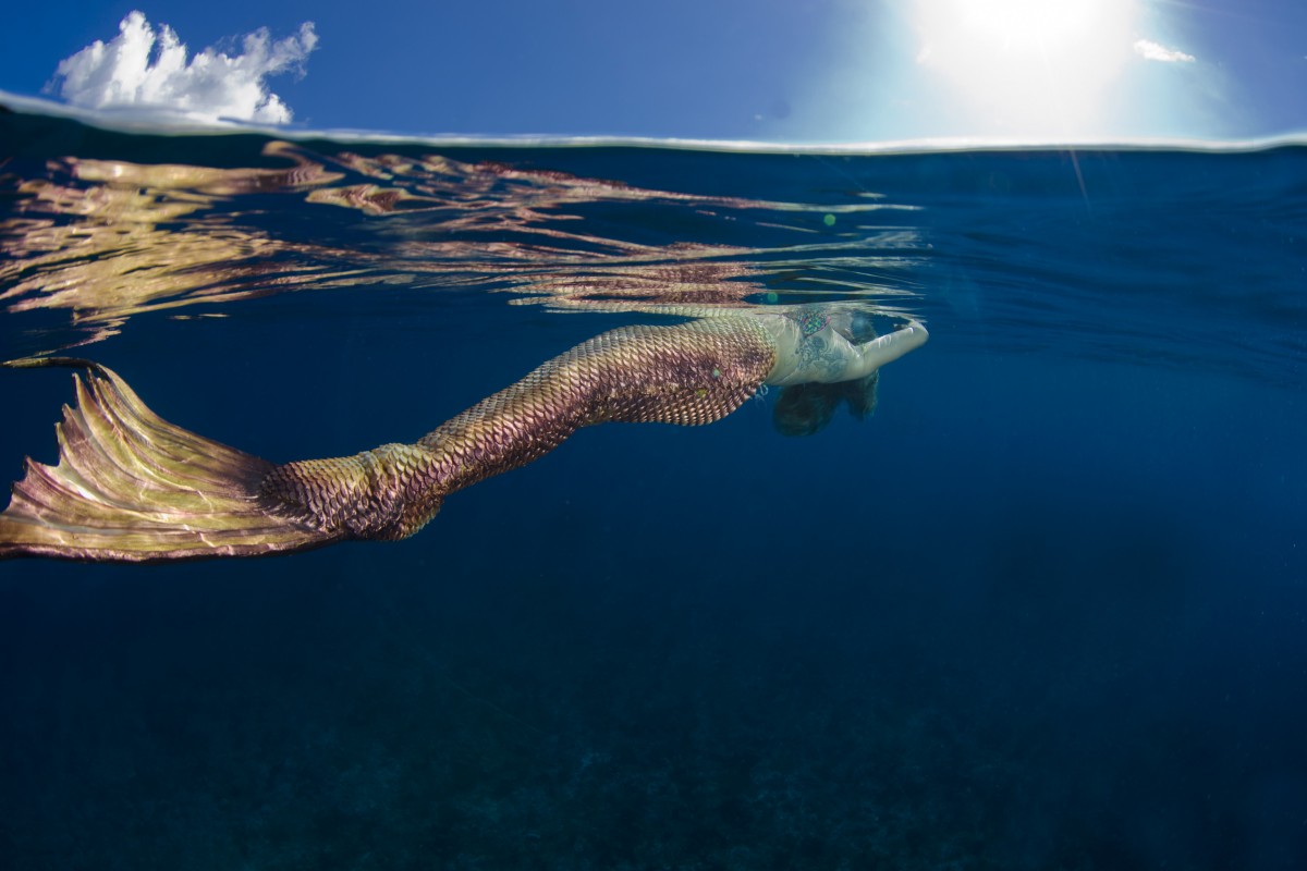 Grand Cayman Underwater Photography
