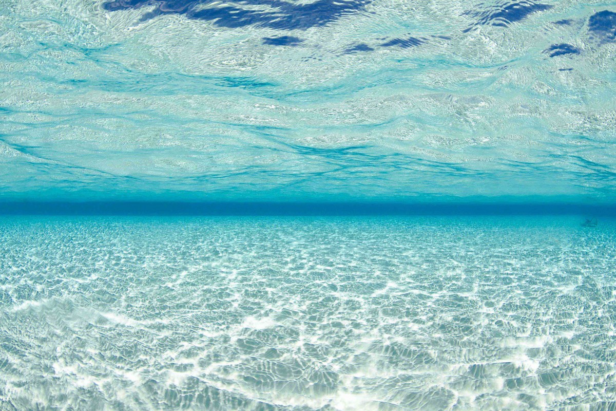 Underwater Photography By Julie Corsetti Underwater Photography By Julie Corsetti