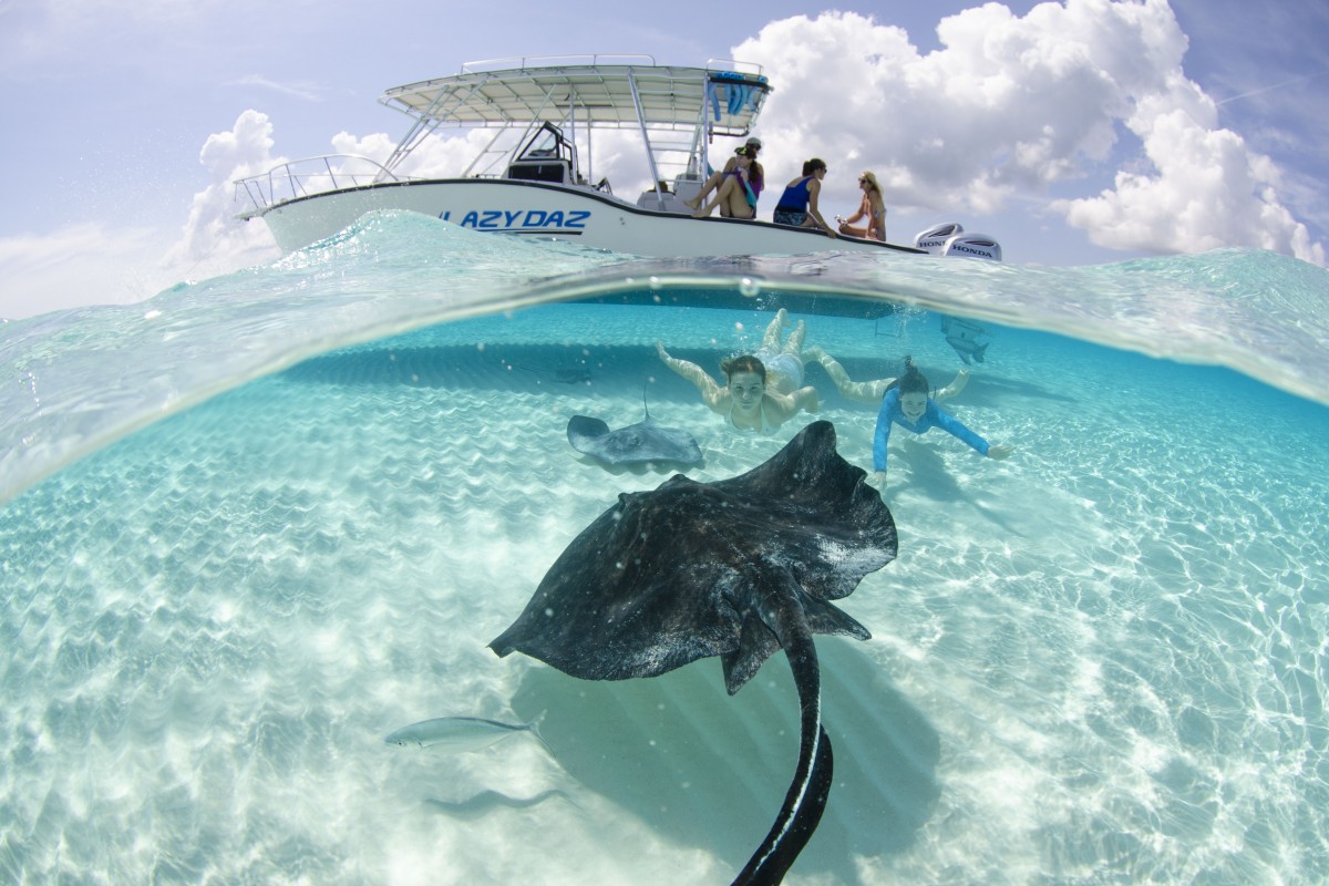 Underwater Photography By Julie Corsetti Underwater Photography By Julie Corsetti