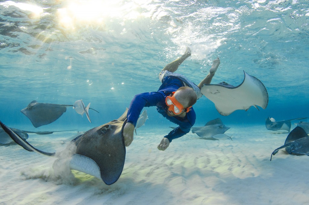 Underwater Photography By Julie Corsetti