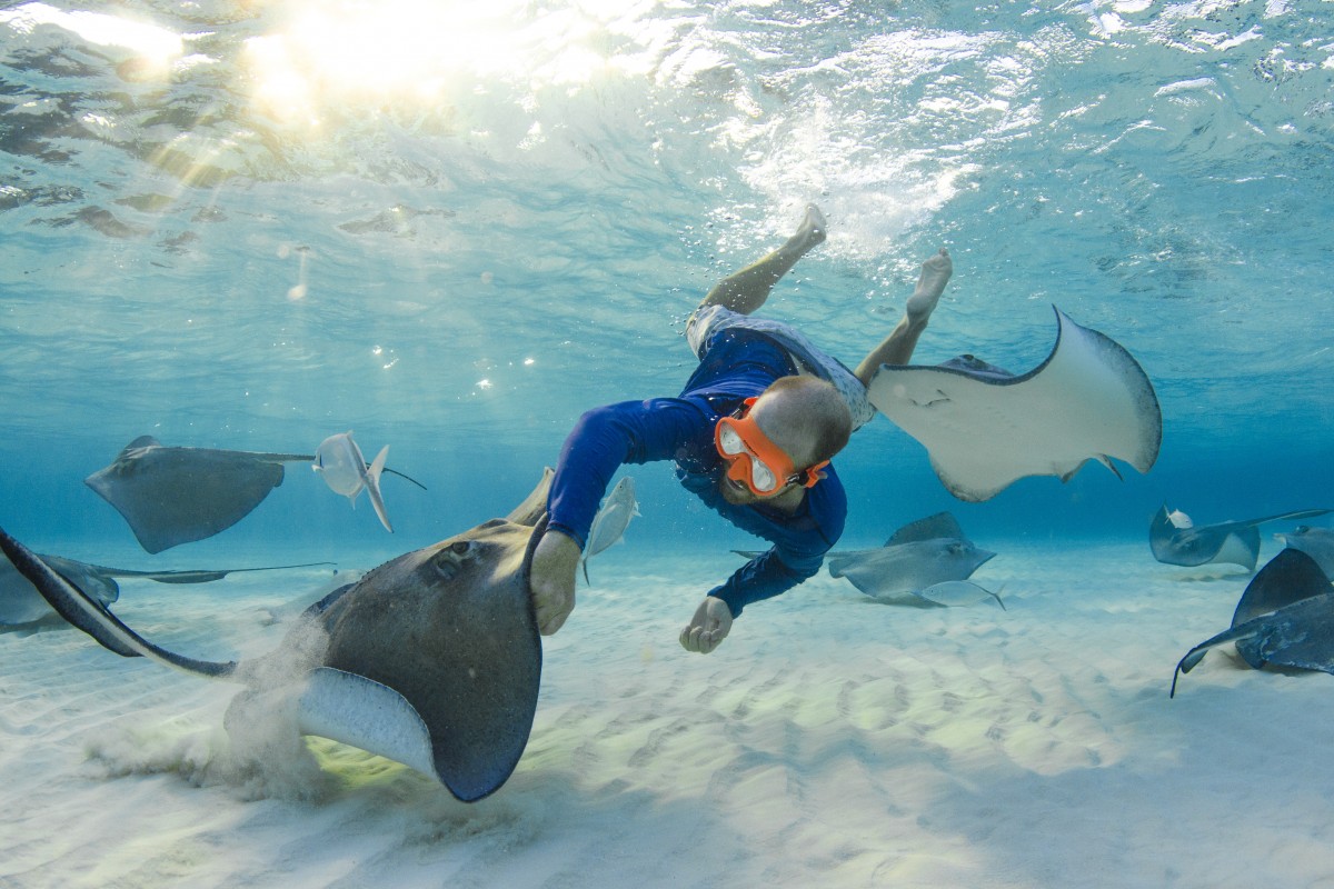 Underwater Photography By Julie Corsetti Underwater Photography By Julie Corsetti